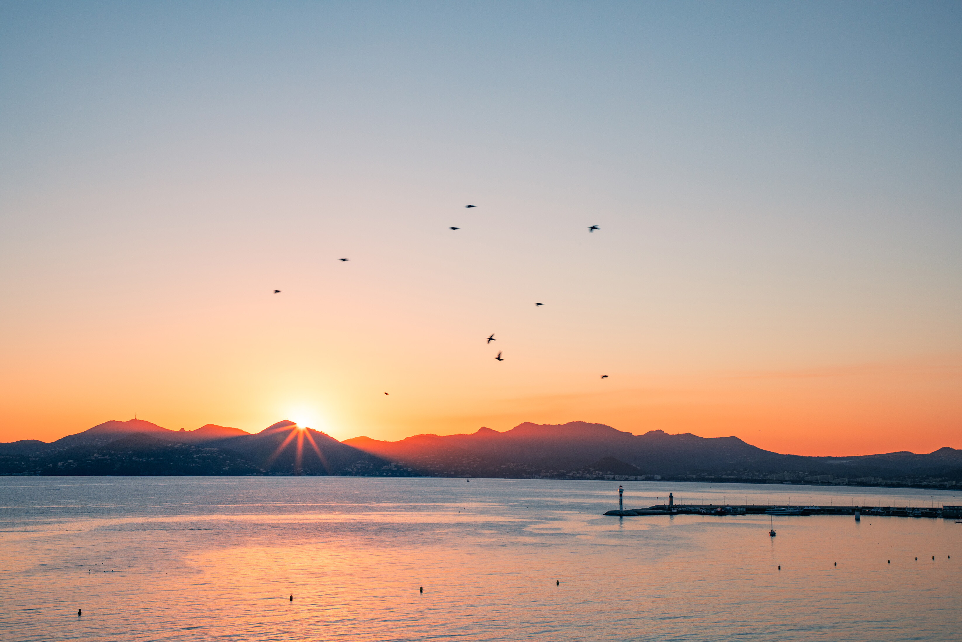 Cannes Accommodations Location appartement Ethereum Community Conference