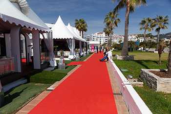 MIPTV 2014