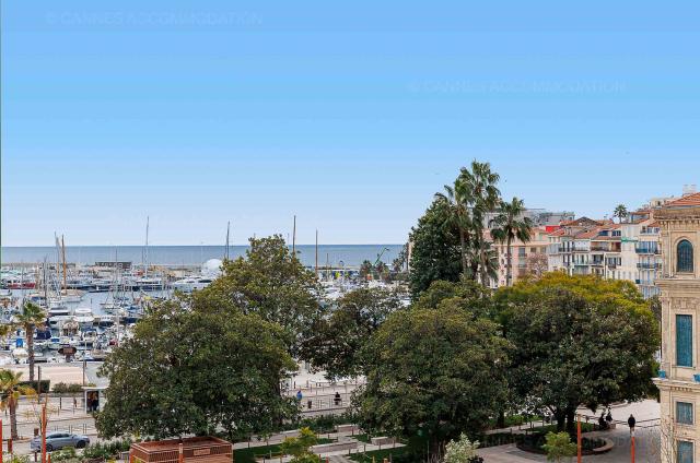 Location vacances à Cannes: votre choix d'appartements et villas - Hall – living-room - Carrousel stud