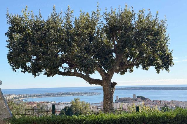 HSUD Serenity_2924_1.jpg