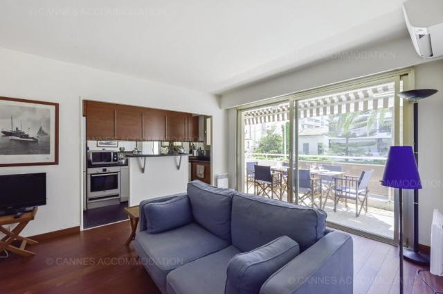 Location appartement Mipcom 2024 J -155 - Hall – living-room - Palm Pop