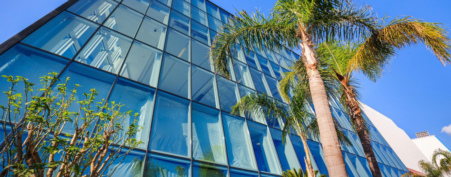 Apartment rentals at AMWC Cannes